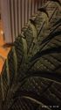 175 70 R13 GoodYear Goodyear UltraGrip �/�